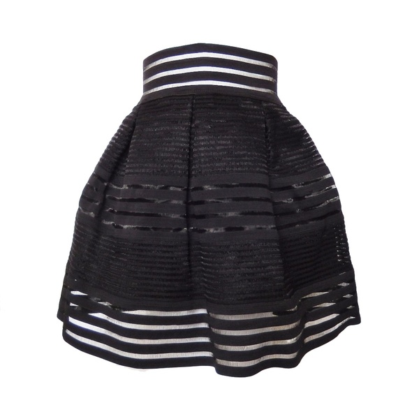 Lulumari Dresses & Skirts - Lulumari Black See Through Skirt
